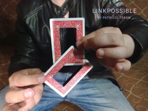 Patricio Teran - Linkpossible