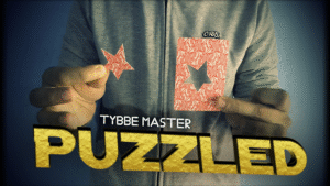 Tybbe Master - Puzzled