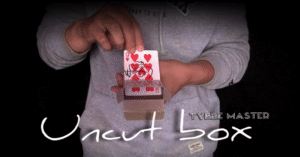 Tybbe Master - Uncut Box